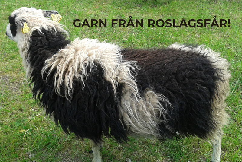 Roslagsfår